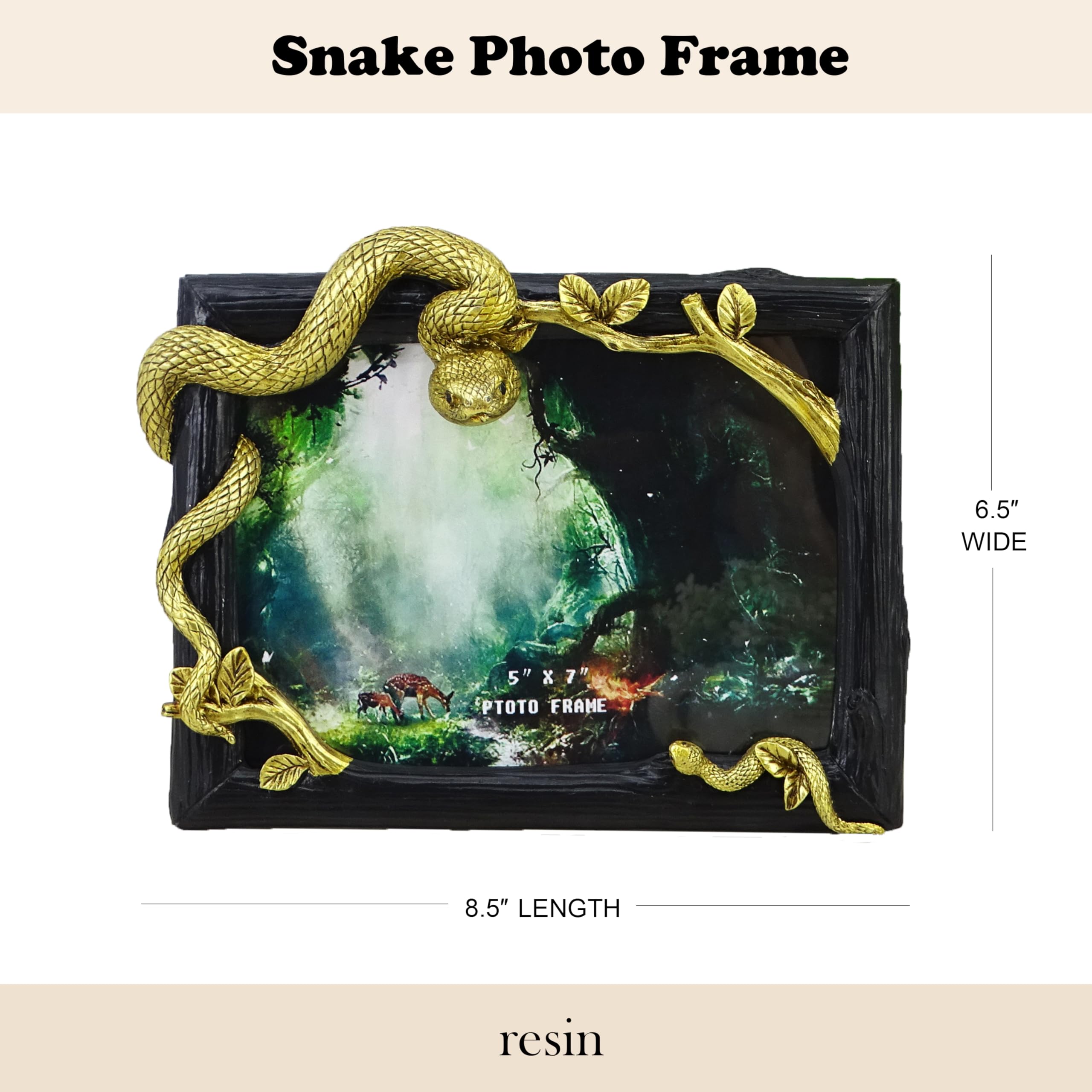 Amazon.com - SEAKINGDOM YHH Hand-Crafted Resin Snake Picture Frame